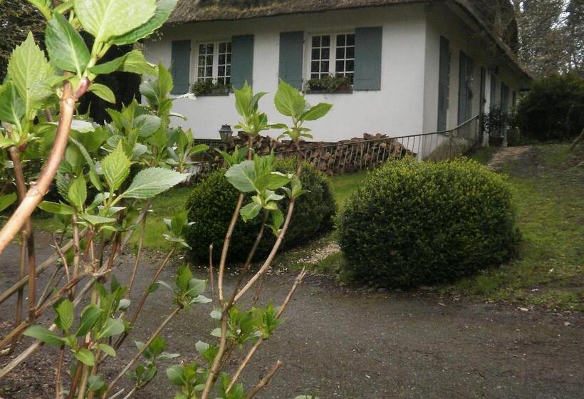 标准间, Le Clos Des Mûriers