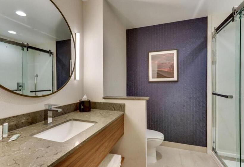 스탠다드 룸 킹사이즈 침대, Fairfield By Marriott Inn & Suites Dalton