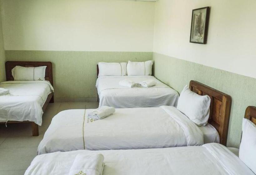 اتاق خانوادگی, Cristina