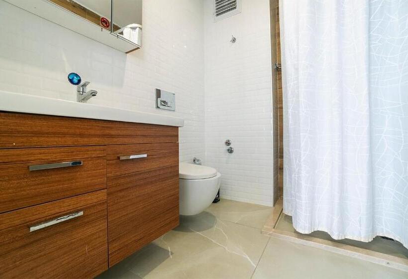 Camera Standard, Tut