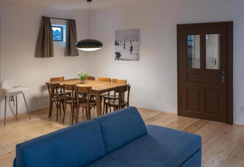 Apartamento 1 Dormitório com Terraço, Tschardakenhof Appartements