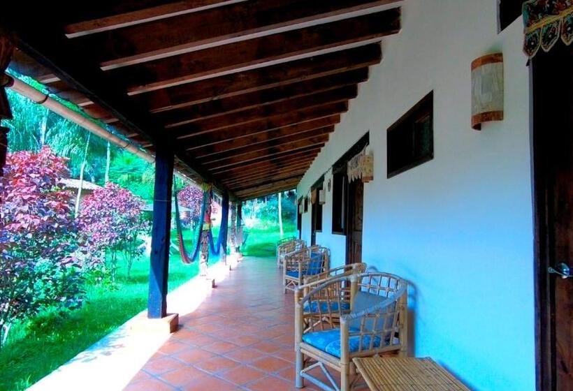 Студия Стандарт, Eco Hotel La Jicarita