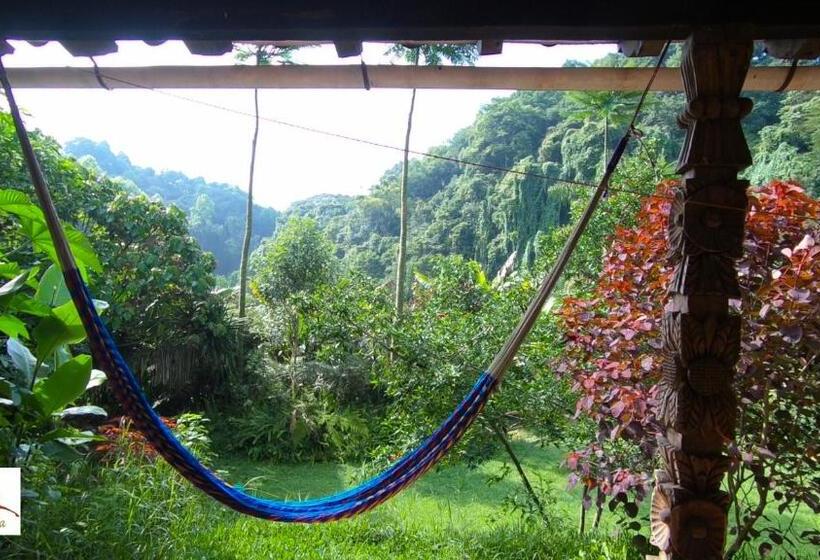 Студия Стандарт, Eco Hotel La Jicarita