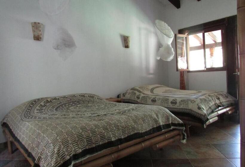 Студия Стандарт, Eco Hotel La Jicarita