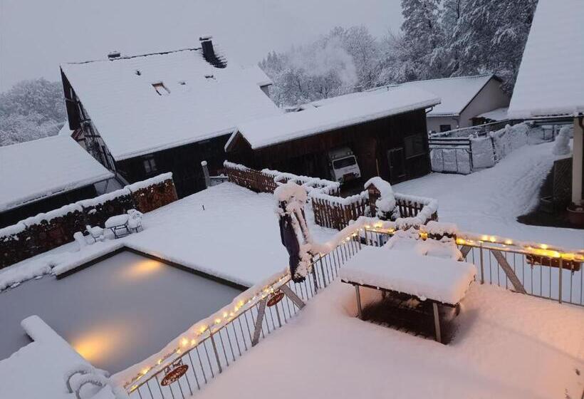 آپارتمان 1 خوابه, Ferienhof Stärk