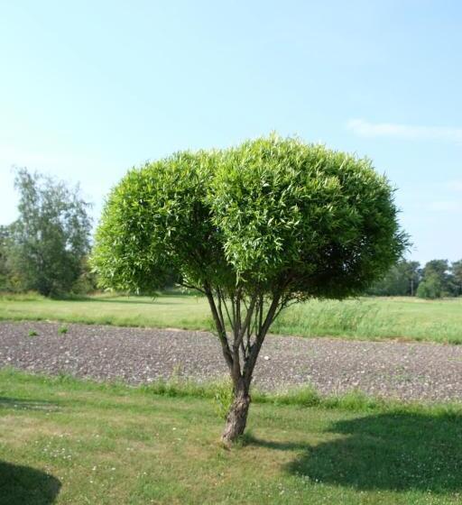 バス共有のスタンダードルーム, Brändö Bike And Bed