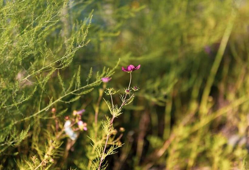 バス共有のスタンダードルーム, Brändö Bike And Bed
