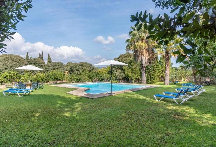 غرفة سوبيريور, Son Vivot  Doble Con Salon