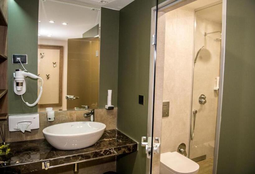 חדר סטנדרט עם מיטת קינג, Arletti