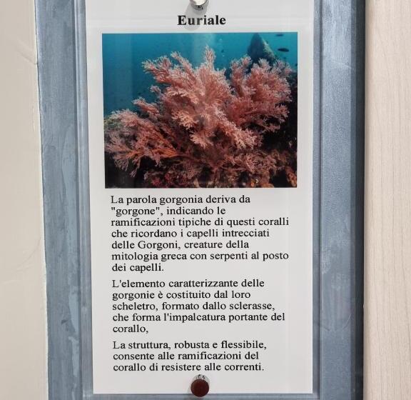 Quarto Estandar, B&b Le Gorgonie