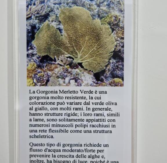Quarto Triplo Estandar, B&b Le Gorgonie