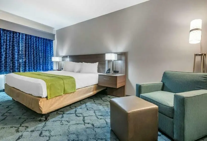 キングサイズベッドのスタンダードルーム, Best Western Plus Lakeland