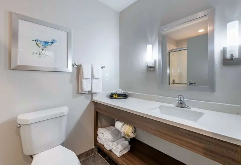 スイート, Best Western Plus Lakeland