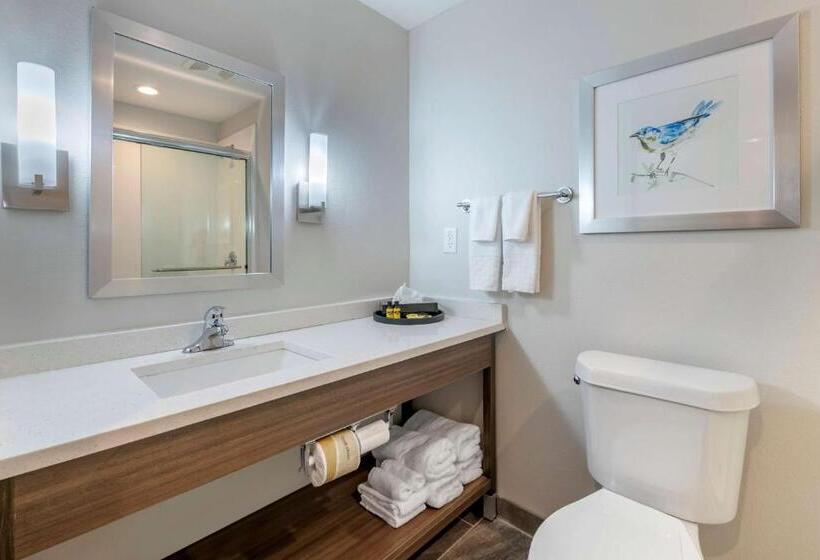 غرفة قياسية, Best Western Plus Lakeland