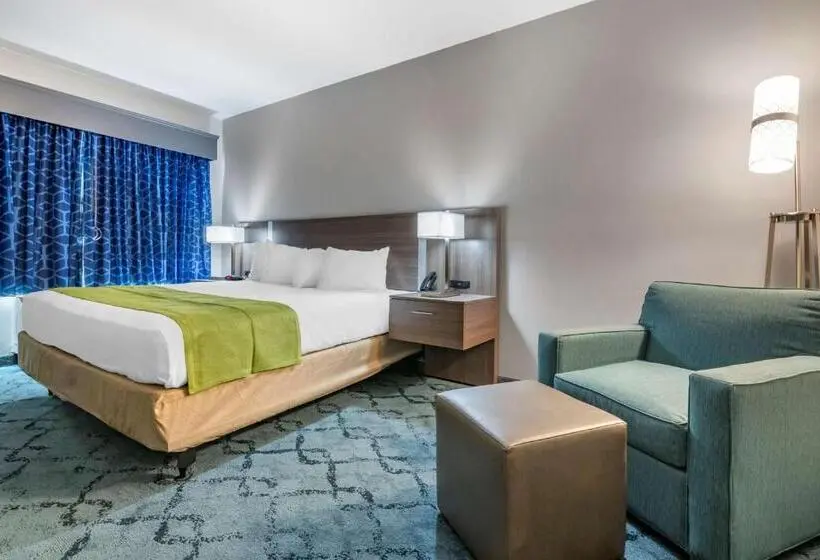 身障者適用キングサイズベッドルーム, Best Western Plus Lakeland