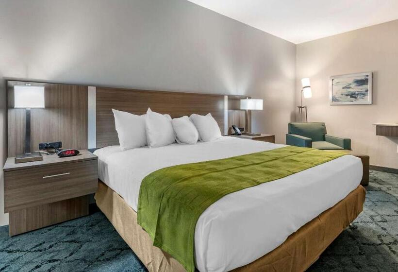 غرفة قياسية سرير كينج لذوى الإحتياجات الخاصة, Best Western Plus Lakeland