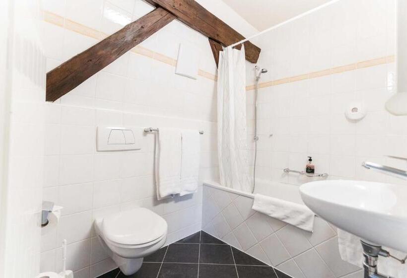 Полулюкс, Hemma