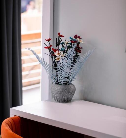 Habitació Superior, Olsi