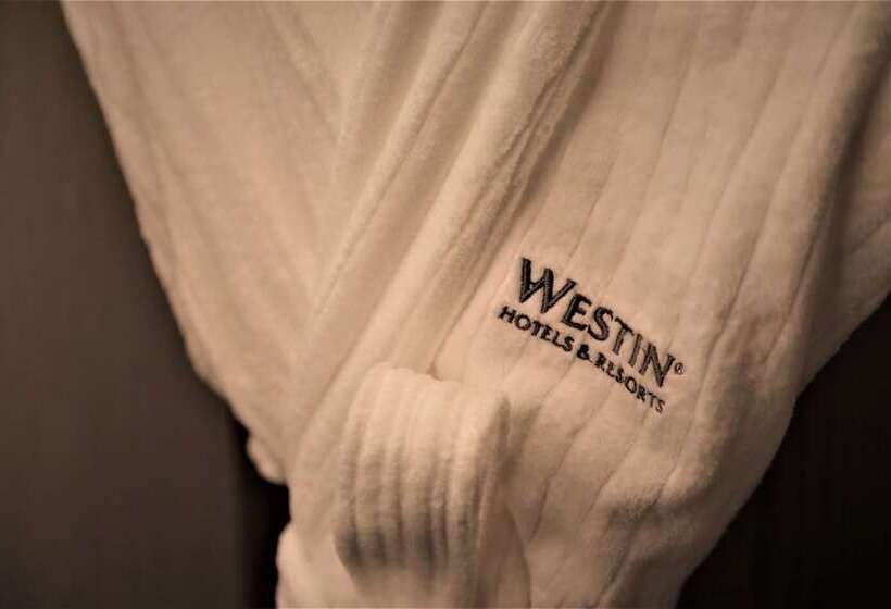 اتاق استاندارد با 2 تخت دوبل, The Westin Nanjing Resort & Spa