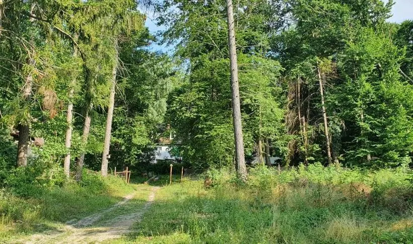 چادر با خدمات رفاهی استاندارد, Fehérkőlápa Turistaház Panzió