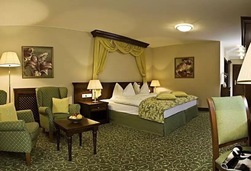 マウンテンビュースタンダードルーム, Grandhotel Lienz Business Wellness & Gourmet