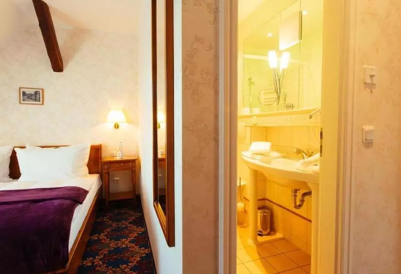 Standard-huone Näkymä, Boutiquehotel Schloßpalais
