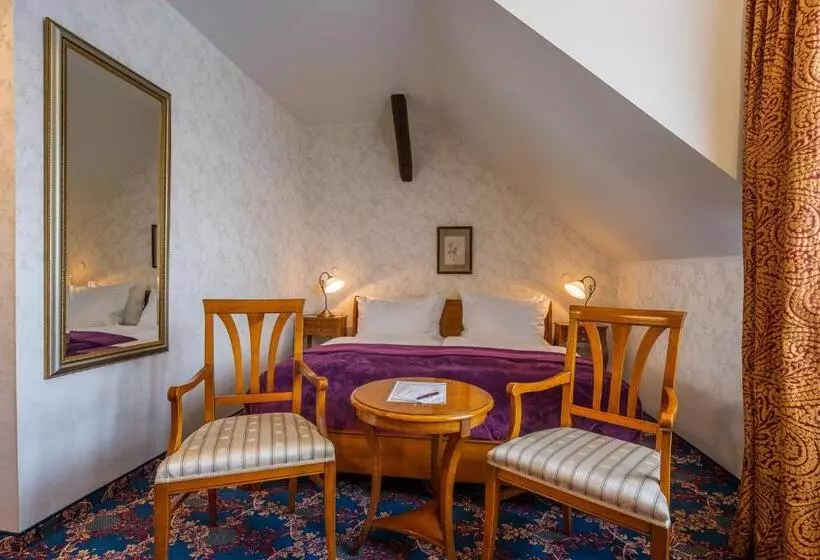 Standard-huone Näkymä, Boutiquehotel Schloßpalais