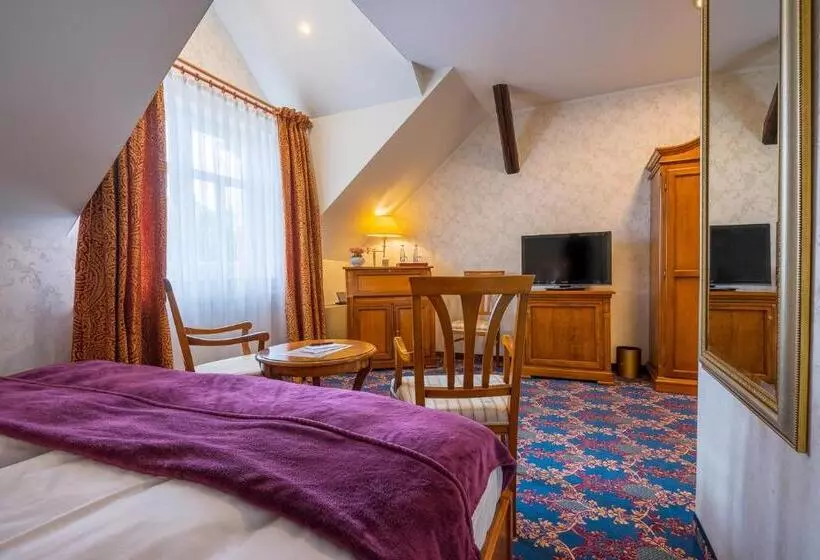 Standard-huone Näkymä, Boutiquehotel Schloßpalais