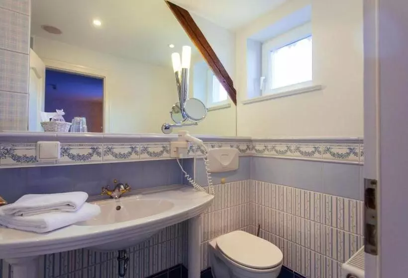 Standard Yhden Hengen Huone, Boutiquehotel Schloßpalais