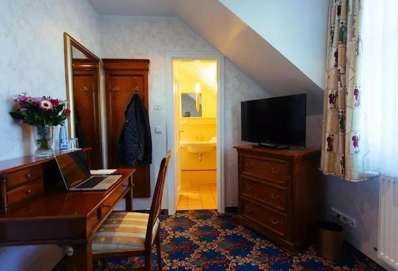 Standard Yhden Hengen Huone, Boutiquehotel Schloßpalais