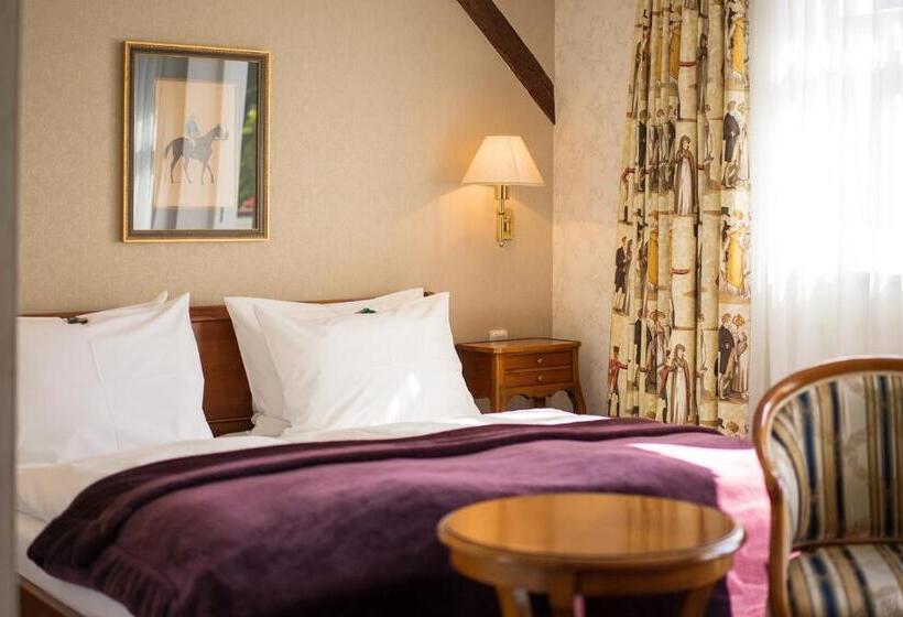 스탠다드 발코니 룸, Boutiquehotel Schloßpalais