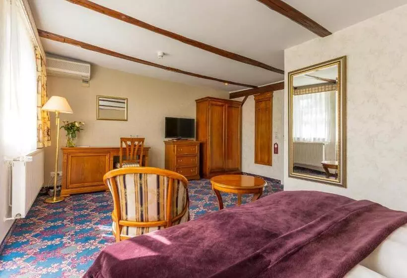 Standard-huone Parveke, Boutiquehotel Schloßpalais
