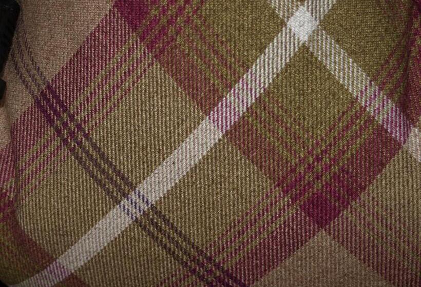 标准间带湖景, The Clachan Hotel, Lochearnhead