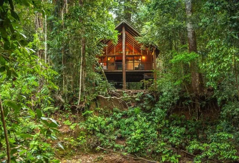 Talo 2 Makuuhuonetta, The Canopy Rainforest Treehouses & Wildlife Sanctuary