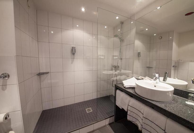Номер Стандарт Индивидуальный, Novina Hotel Tillypark