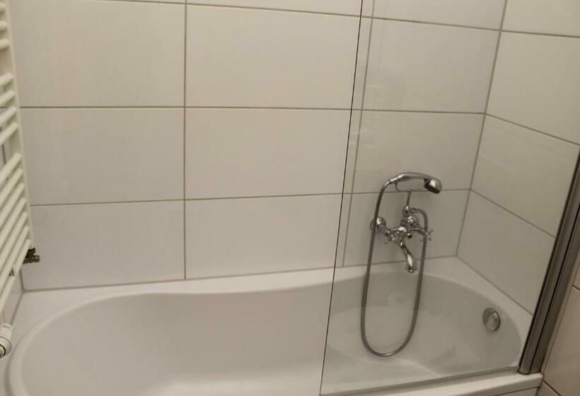 غرفة قياسية فردية, Boutique Hotel Schwarzer Baer