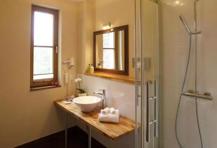 スタンダードルーム, Boutique Hotel Schwarzer Baer