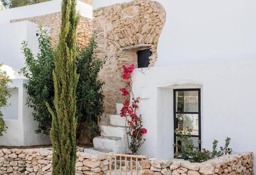 استودیو استاندارد با تراس, Agroturismo Can Domo