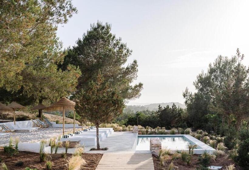 اتاق سوپریور چهار تخته, Agroturismo Can Domo