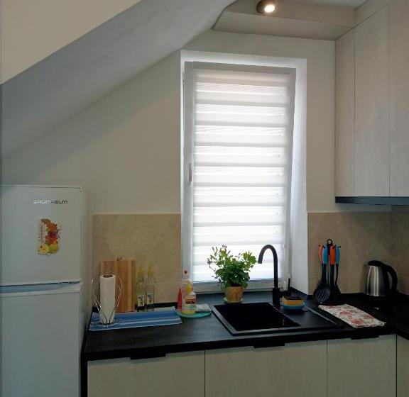 استودیو خانوادگی, Family Apartments Dorobok