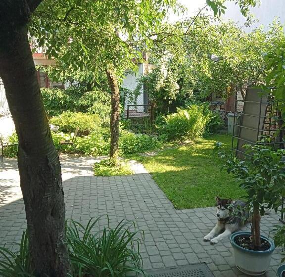 اتاق استاندارد سه نفره, Family Apartments Dorobok