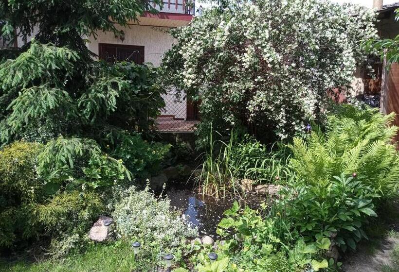 سوئیت با بالکن, Family Apartments Dorobok