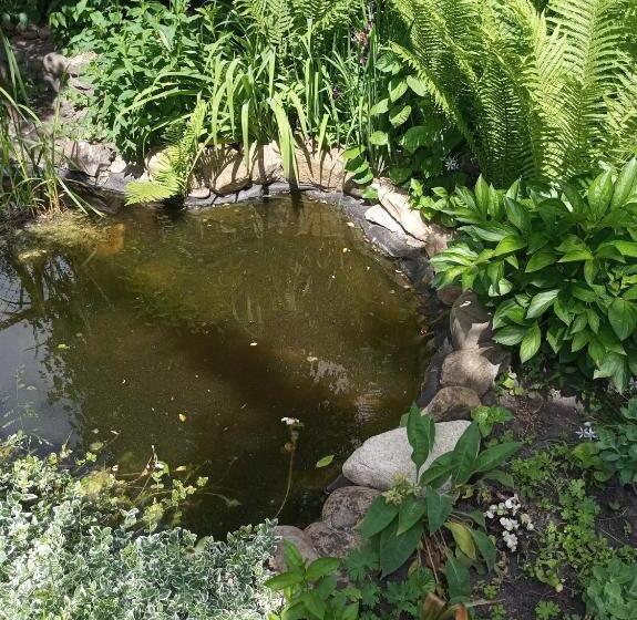 اتاق استاندارد چهارنفره با چشمانداز باغ, Family Apartments Dorobok