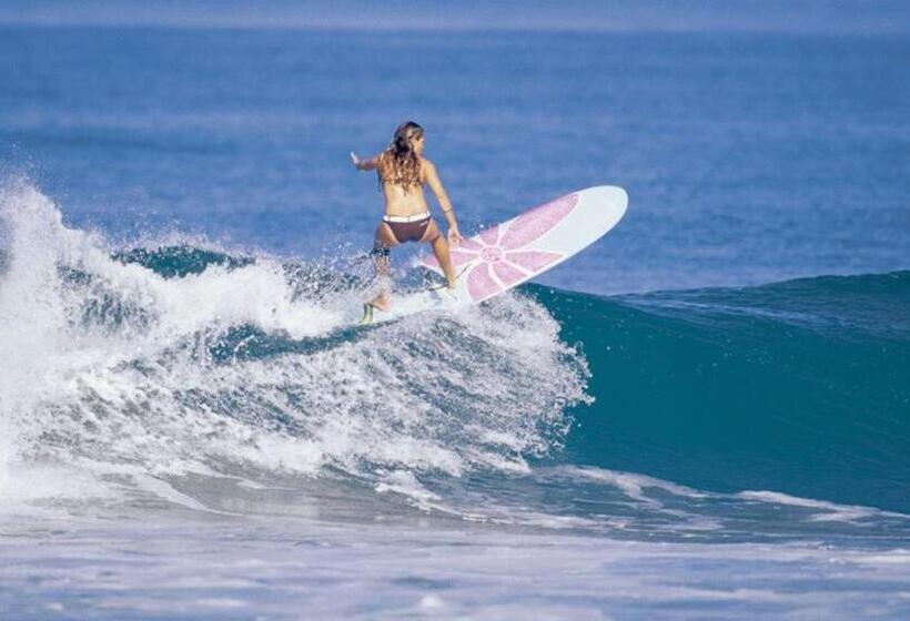 آپارتمان 1 خوابه, Villa Vale De Lapa Amazing Sea Views Heated Swimming Pool Jacuzzi Ac   Stunning House