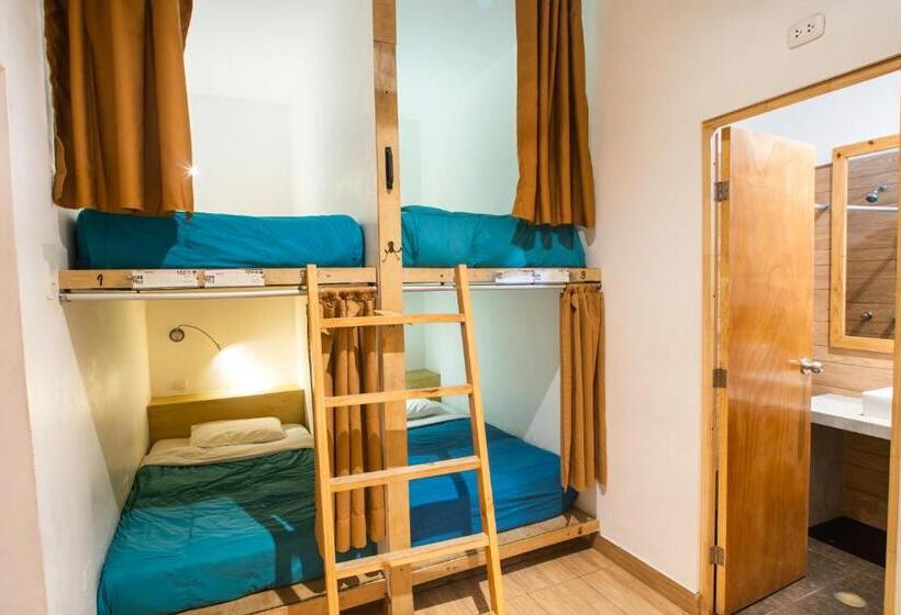 מיטה בחדר משותף, Viajero Paracas Hostel