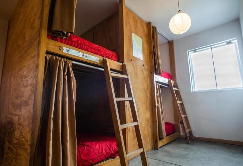 מיטה בחדר משותף, Viajero Paracas Hostel