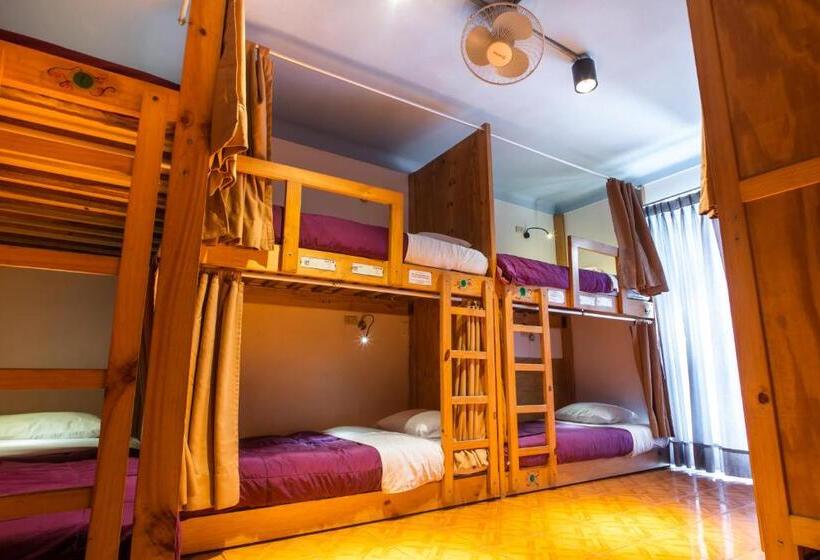 מיטה בחדר משותף, Viajero Paracas Hostel