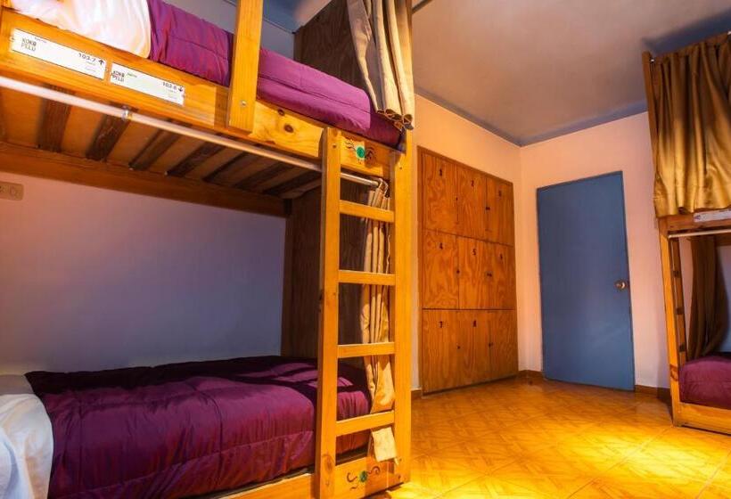 공동 객실, Viajero Paracas Hostel
