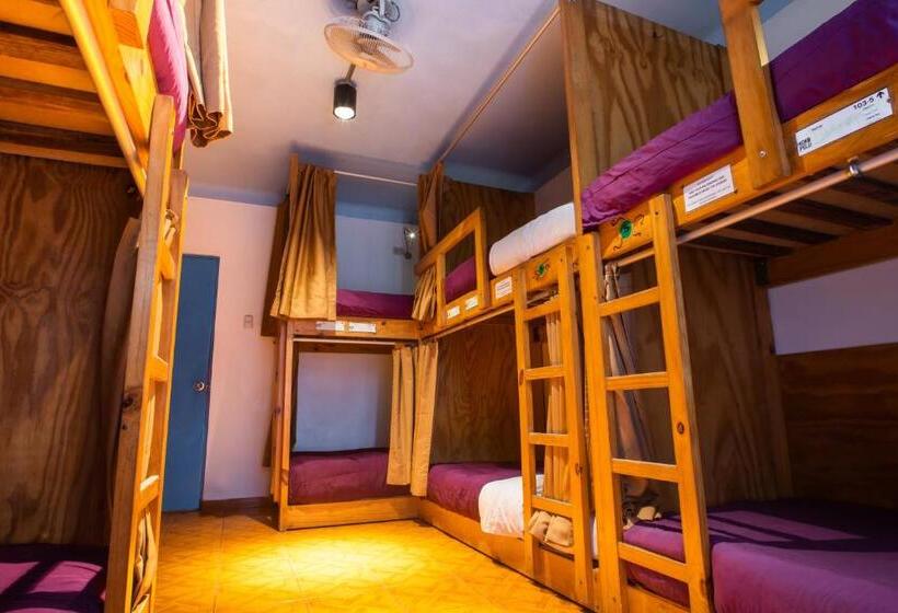 공동 객실, Viajero Paracas Hostel
