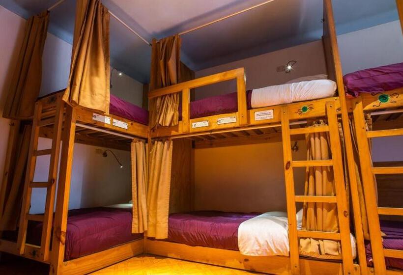 Кровать в Общей Комнате, Viajero Paracas Hostel
